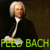 Feed Bach