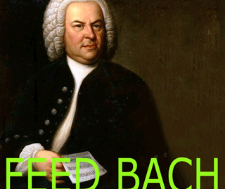 Feed Bach